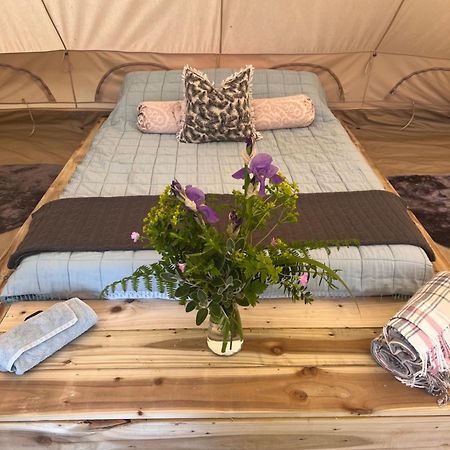 Ardkeen Bluebell Tent At Ballyward Croft מראה חיצוני תמונה