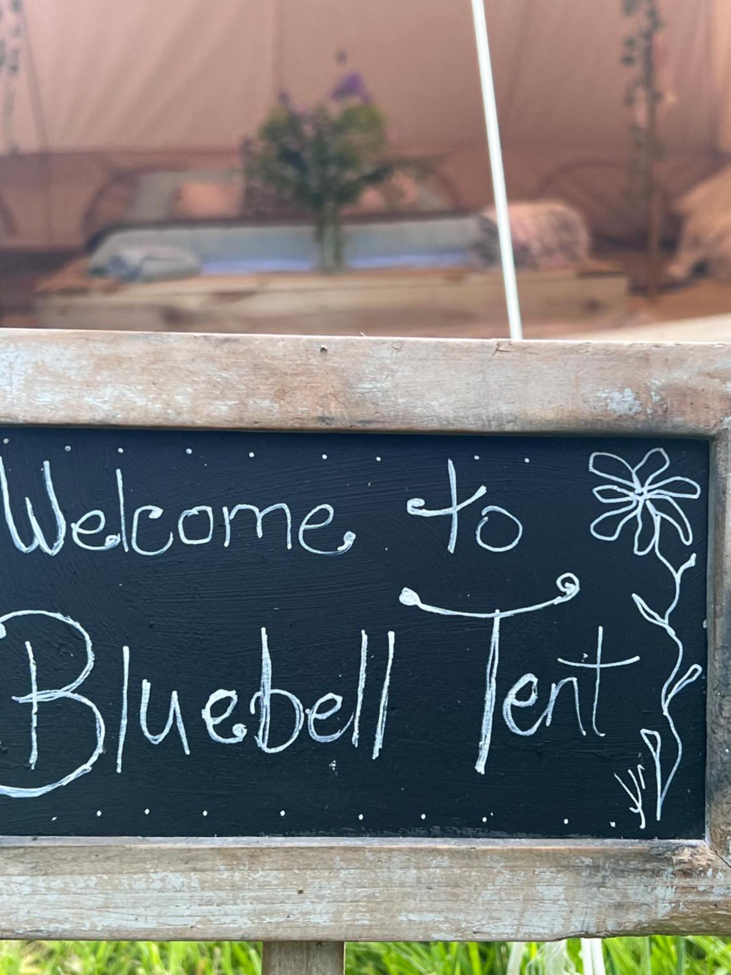 Ardkeen Bluebell Tent At Ballyward Croft מראה חיצוני תמונה
