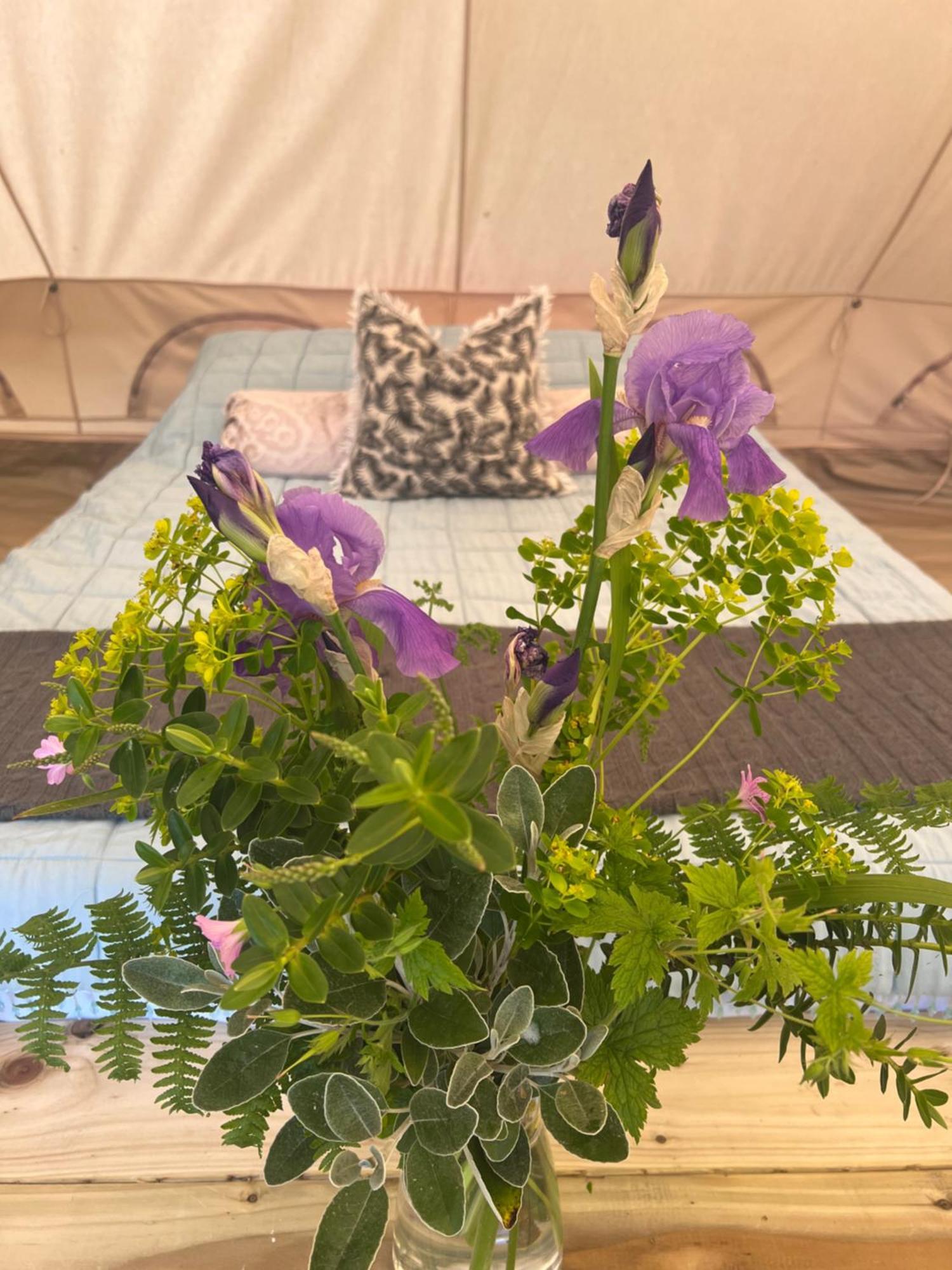 Ardkeen Bluebell Tent At Ballyward Croft מראה חיצוני תמונה