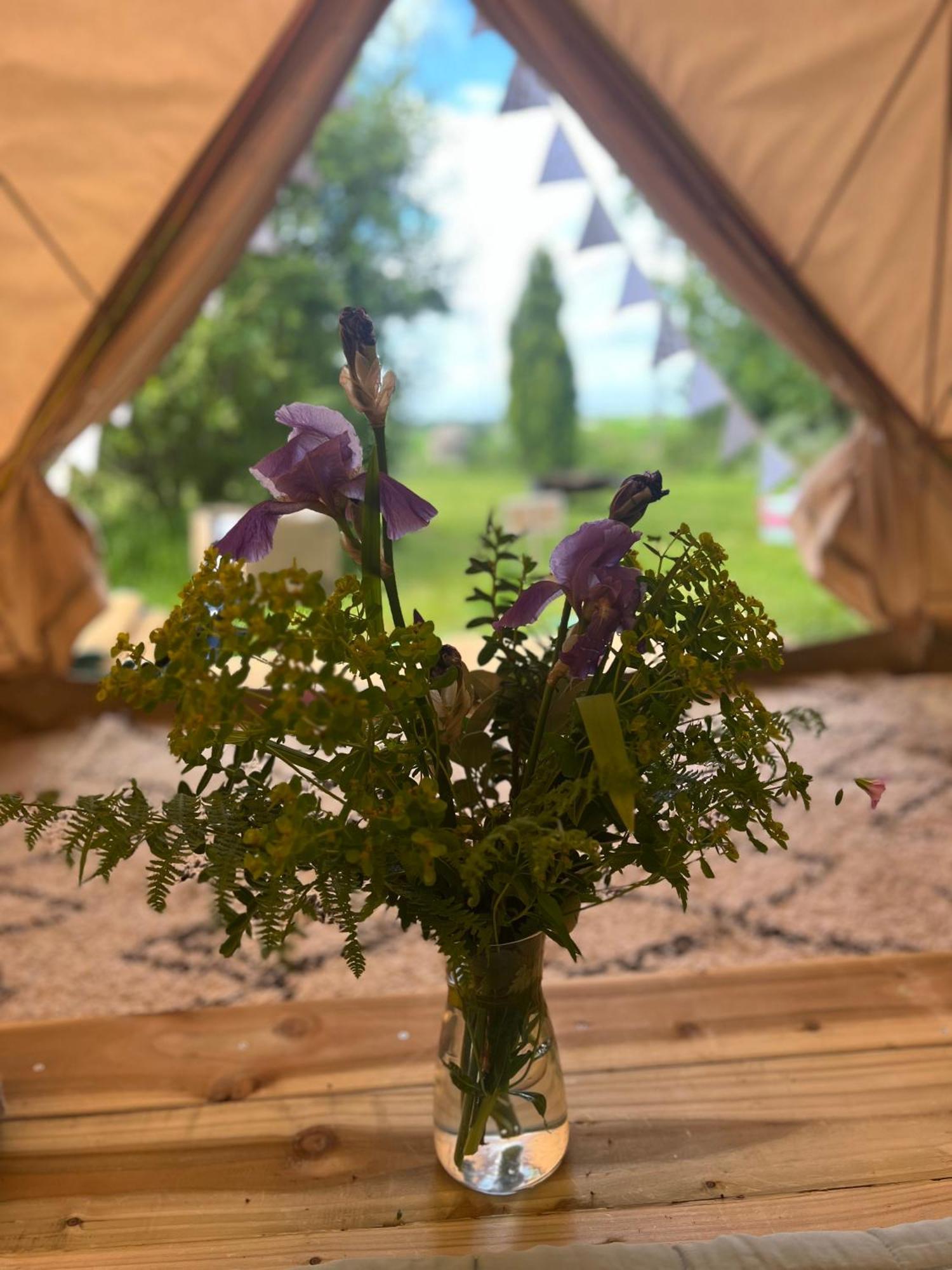 Ardkeen Bluebell Tent At Ballyward Croft מראה חיצוני תמונה